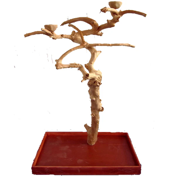 A&E Java Wood Tree Boxed - Image 2