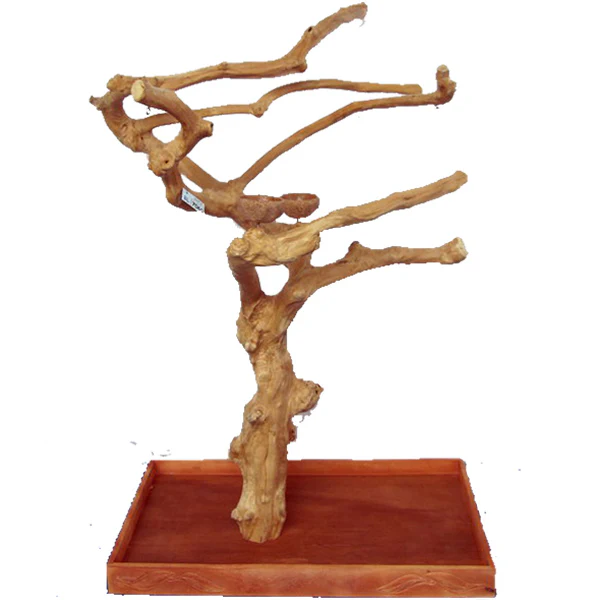 A&E Java Wood Tree Boxed - Image 3