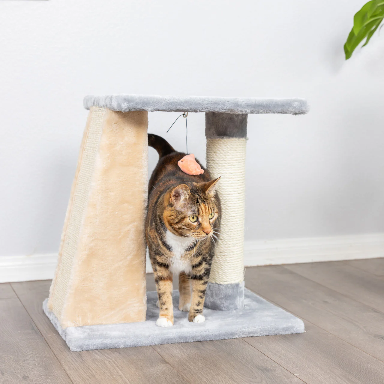 Armarkat 2-Level Platform Scratcher - Image 4