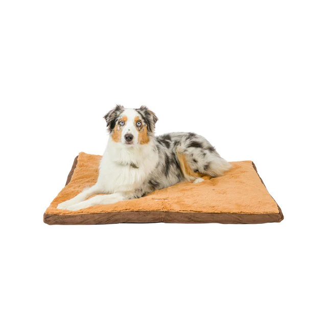 Armarkat Dog Bed/Mat with Poly Fill Cushion - Mocha/Earth Brown - Image 3