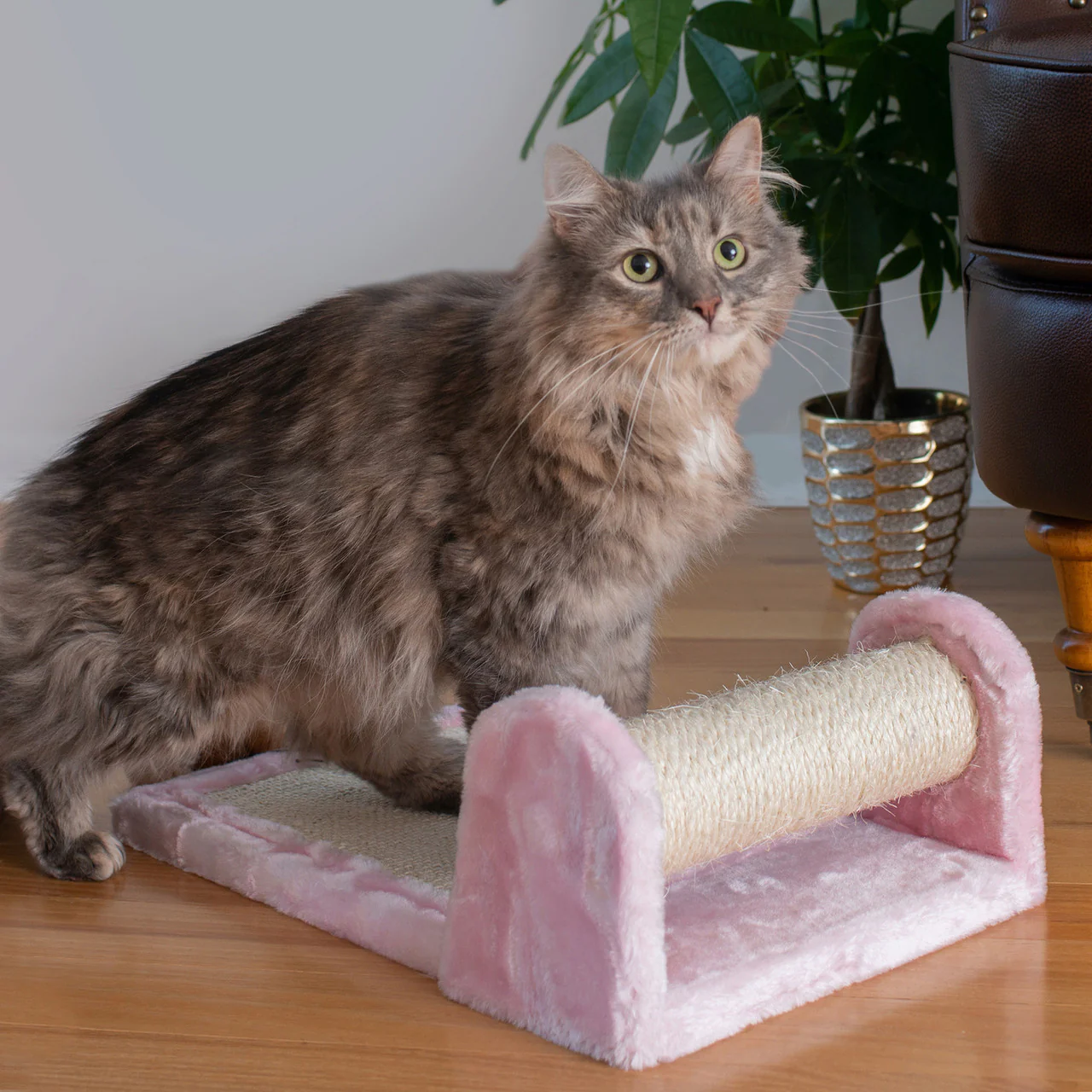 Armarkat Sisal Scratching Board for Cats Training - Image 5
