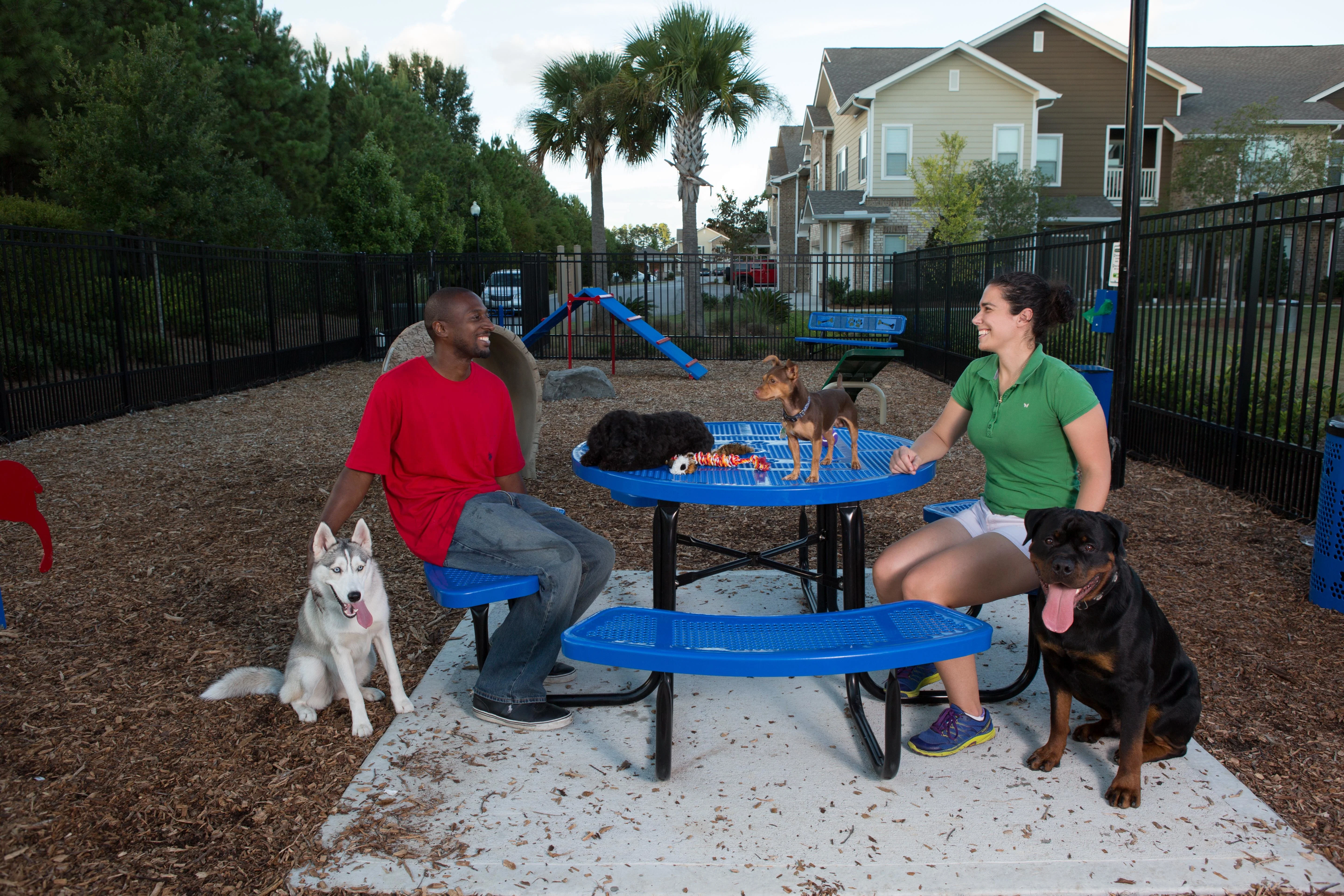 BarkPark Chow Hound Table - Image 3