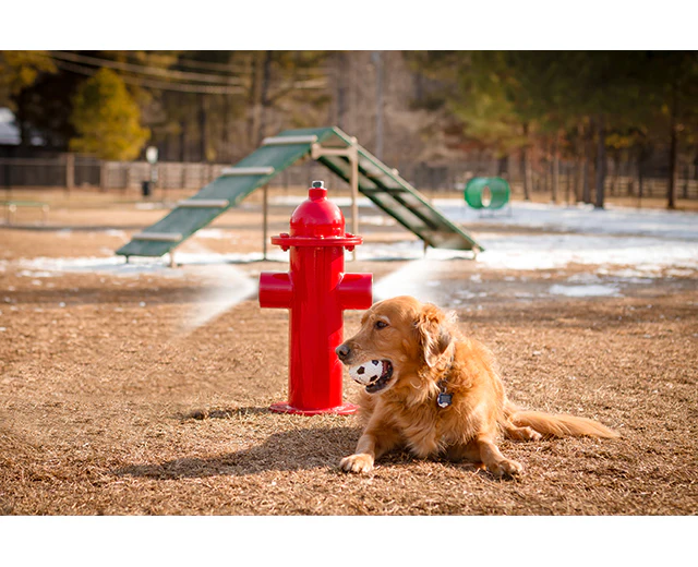 BarkPark Misting Fire Hydrant - Image 2