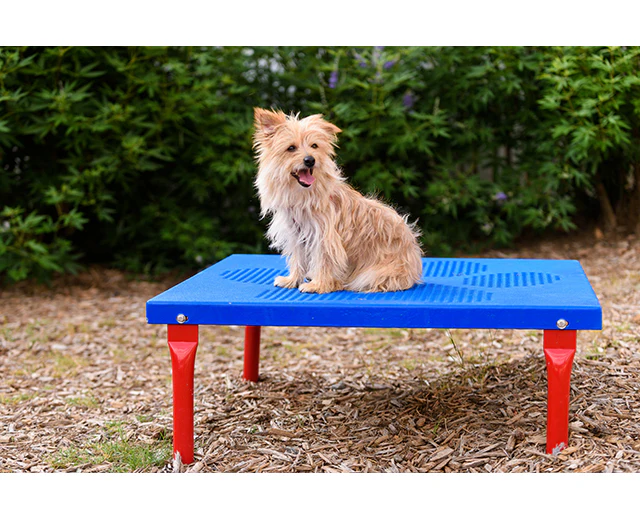 BarkPark Paws Table - Image 4