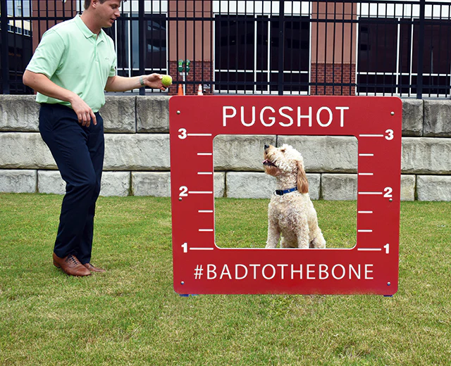 BarkPark Pug Shot - Image 2