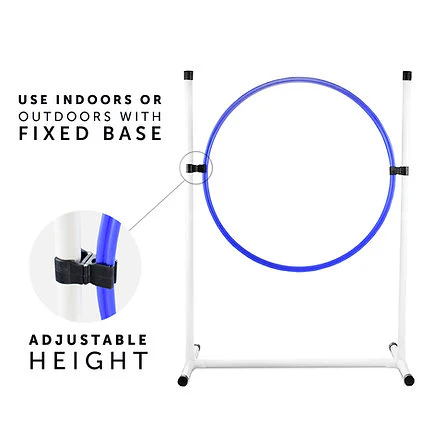 Better Sporting Dogs 5 Piece Complete Starter Agility Set for Dogs - Image 3