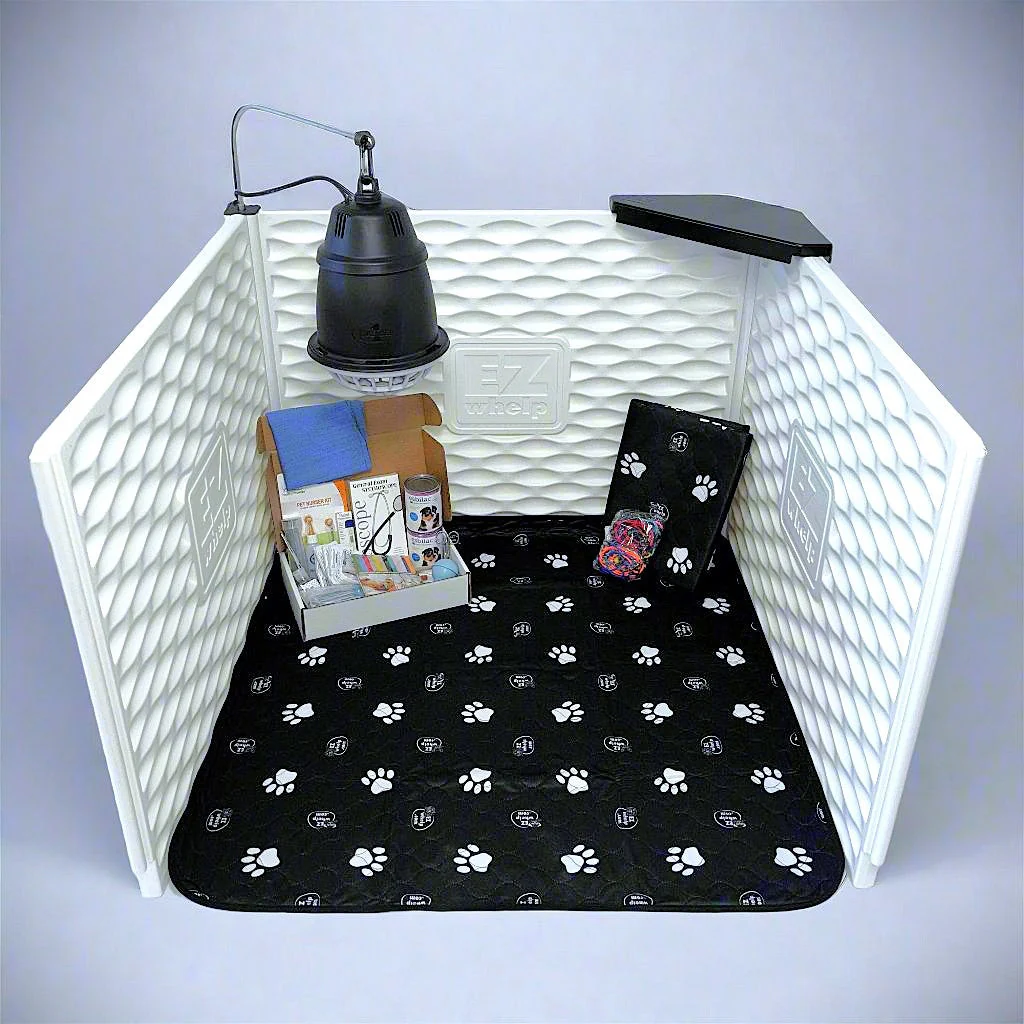 Bundles - EZclassic Essential Set - Image 6