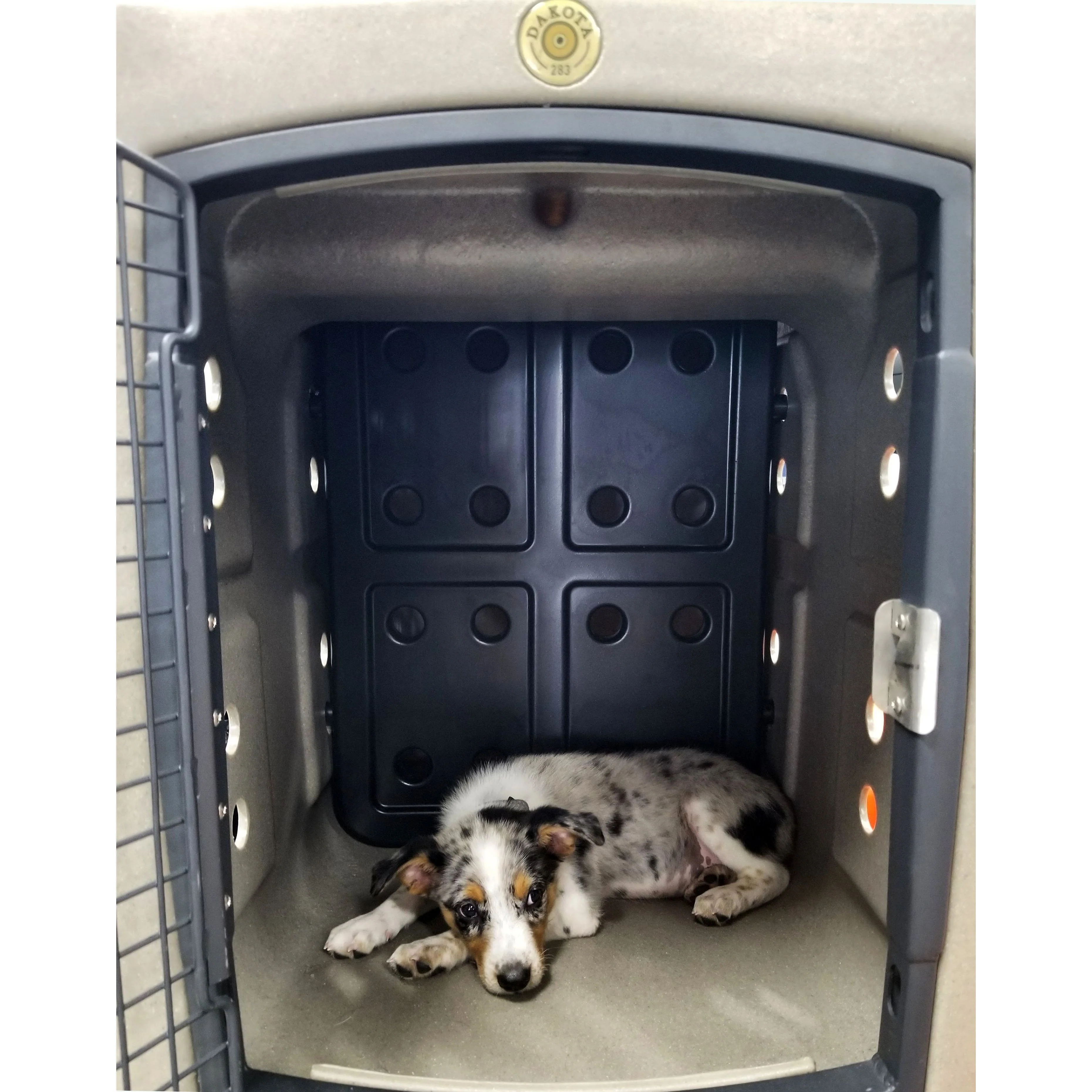 Dakota283 Forever Insert Medium Kennel Divider for Puppies - Image 5