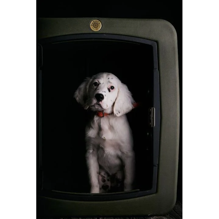 Dakota283 G3 Medium Framed Kennel - Image 35