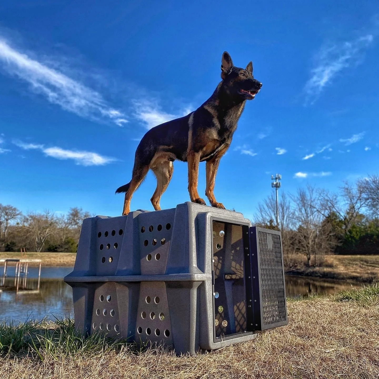 Dakota283 Hero Kennel - Image 8