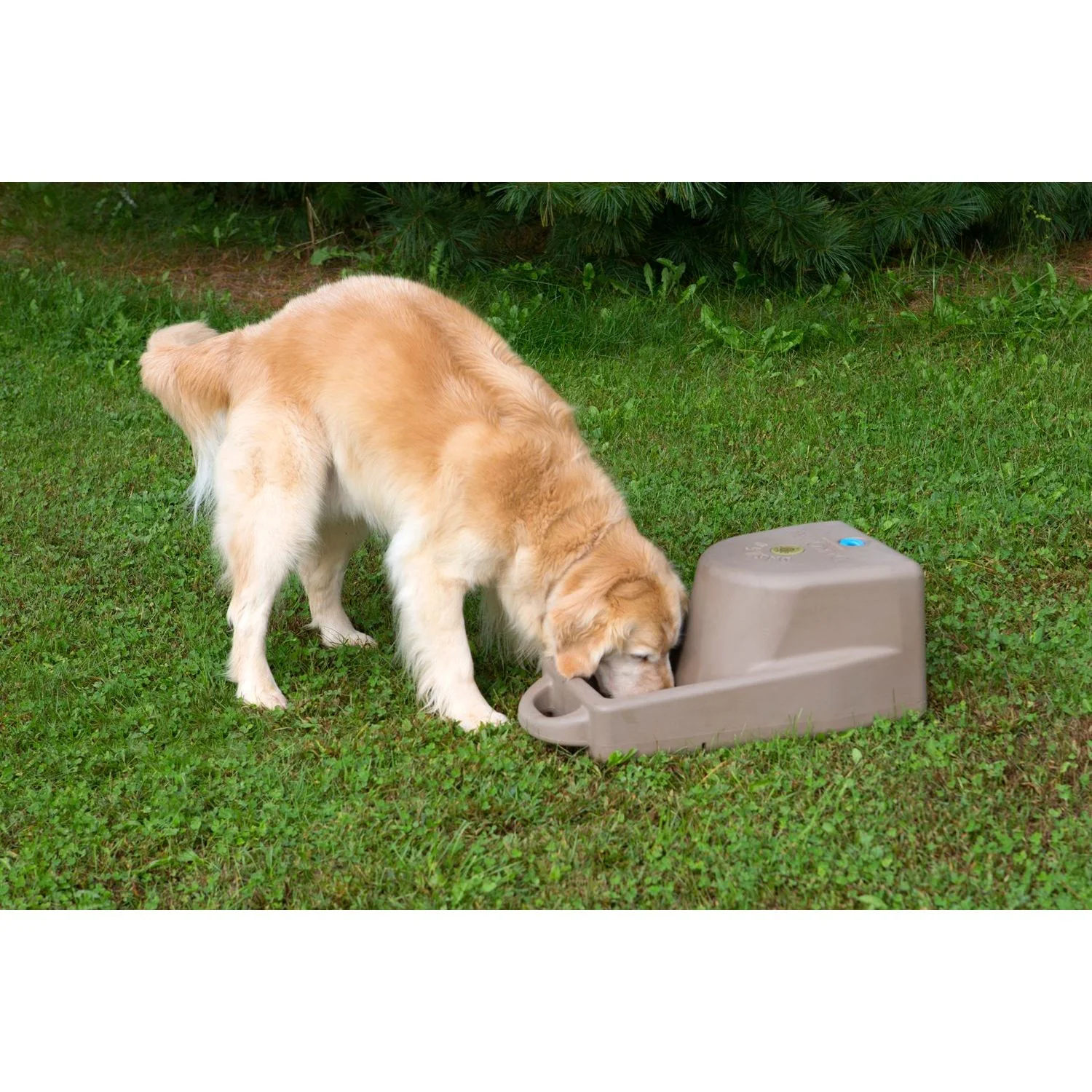 Dakota283 Dash 5.0 Gallon Water System - Image 8