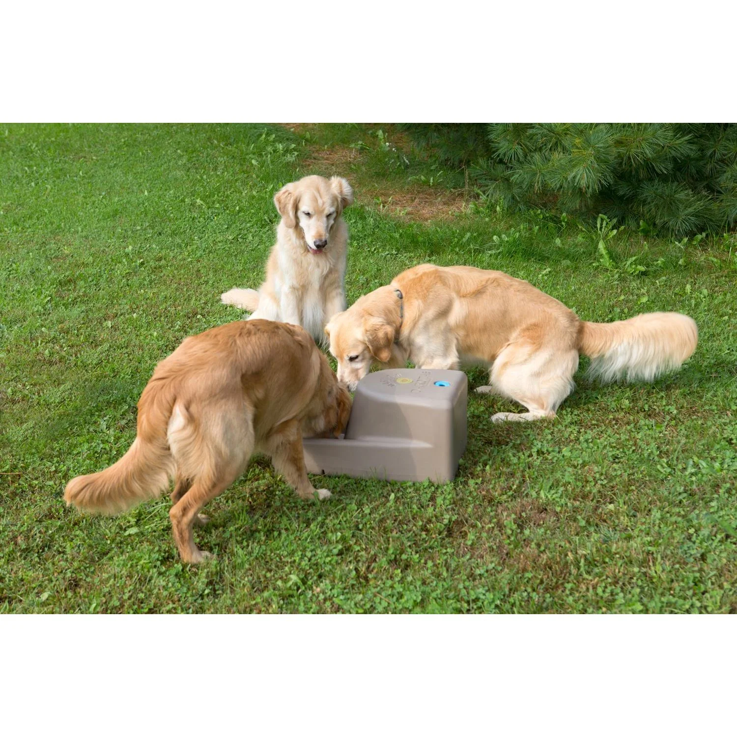 Dakota283 Dash 5.0 Gallon Water System - Image 9