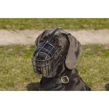 Dean & Tyler DT Basket Muzzle - Image 3