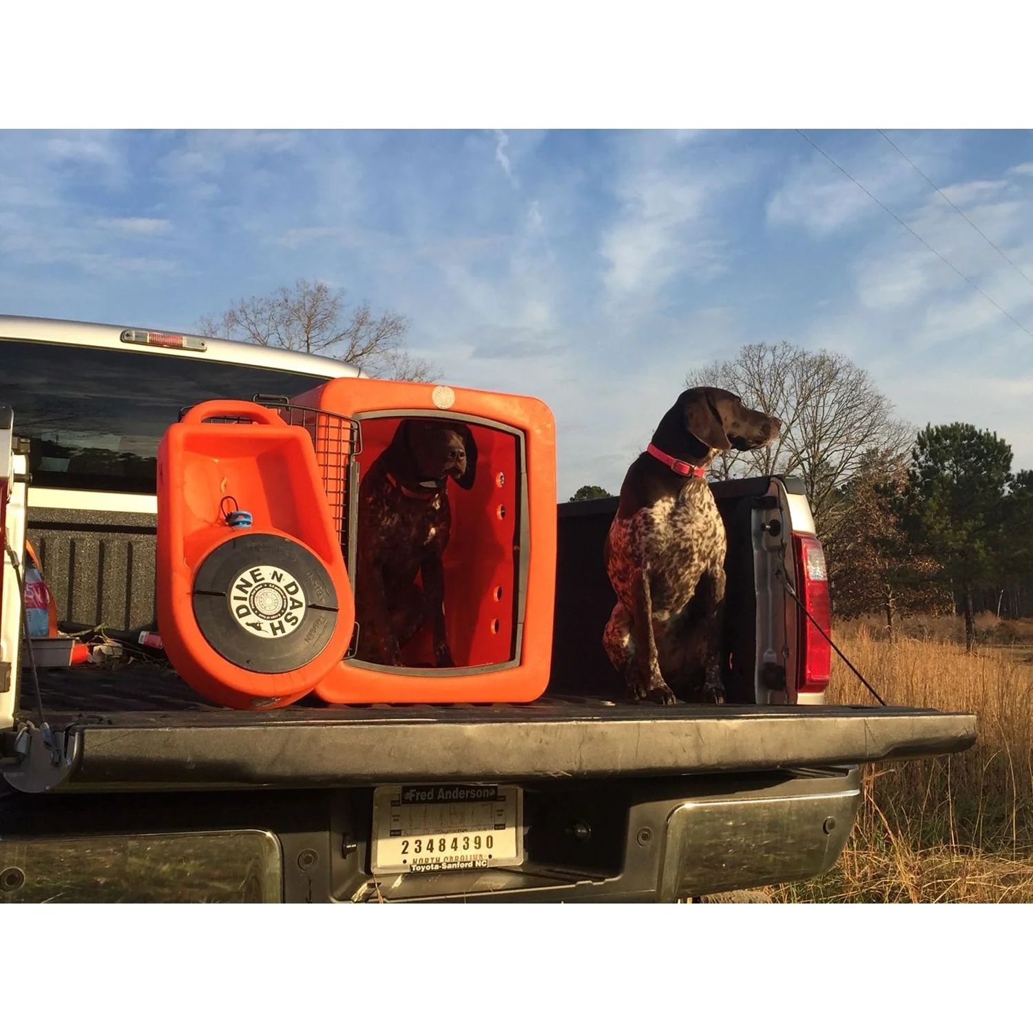 Dakota283 Dine N Dash – Feeding and Watering System - Image 16