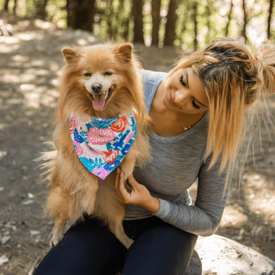 Dog Bandana - Image 10