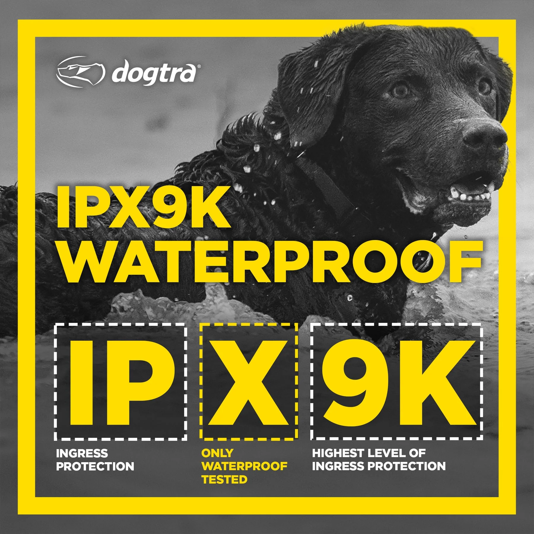Dogtra 1900S Black Edition Boost & Lock E-Collar - Image 3