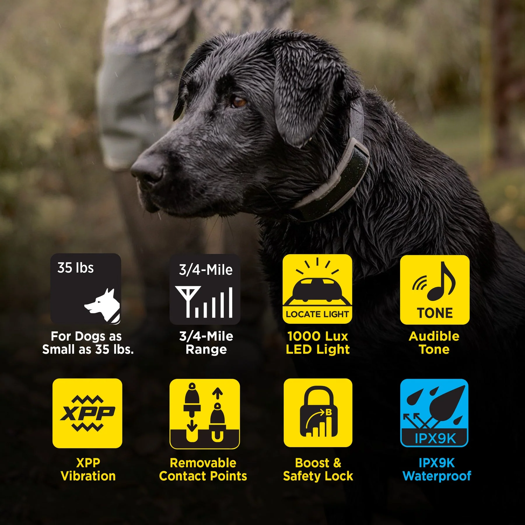Dogtra 1900X 2-Dog Unit E-Collar - Image 2