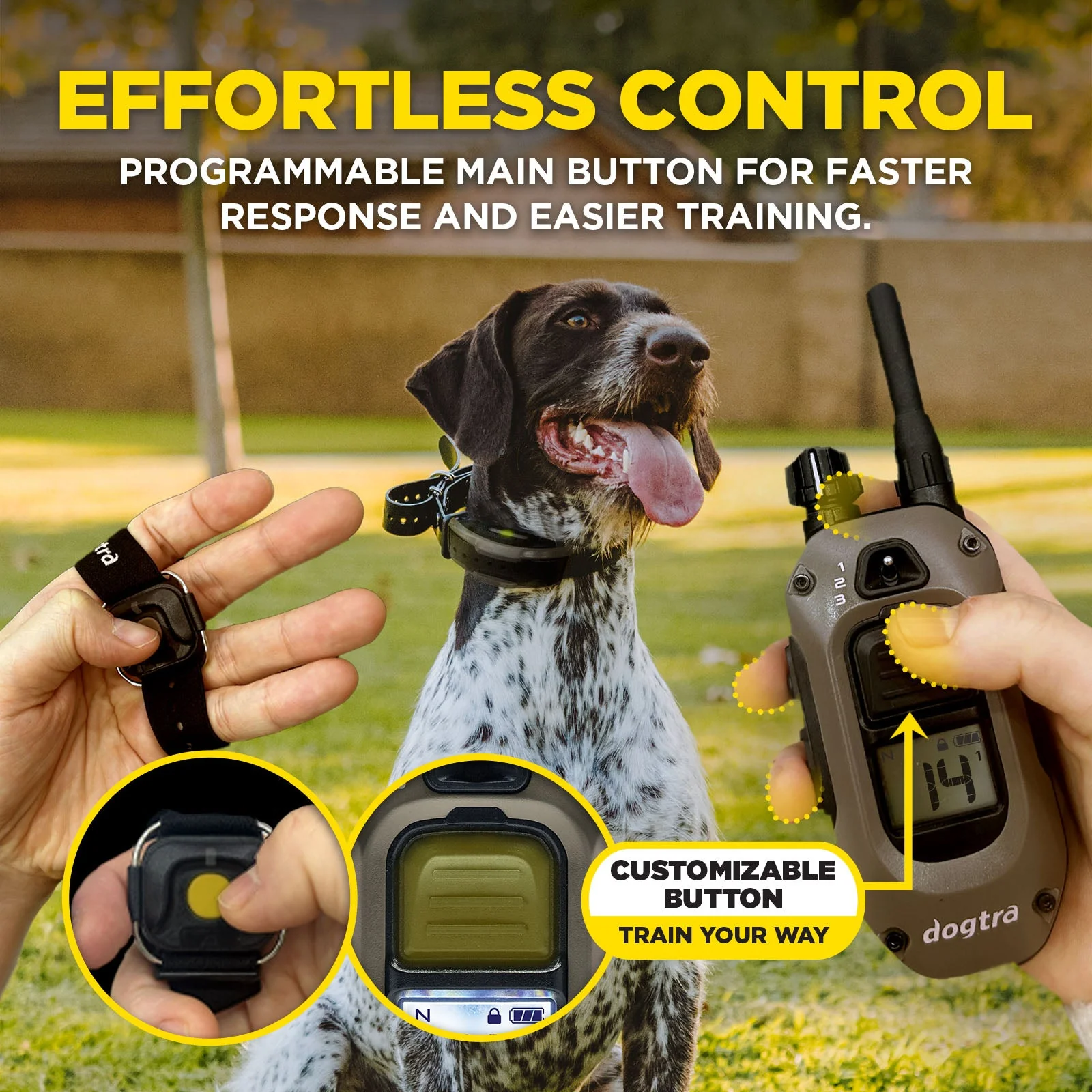 Dogtra 1900X Handsfree 1-Dog Unit É-Collar - Image 10