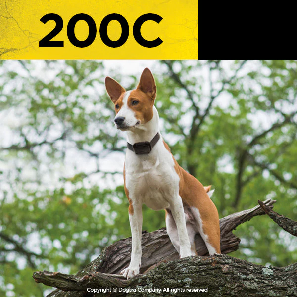 Dogtra 200C Training Collar - Image 5