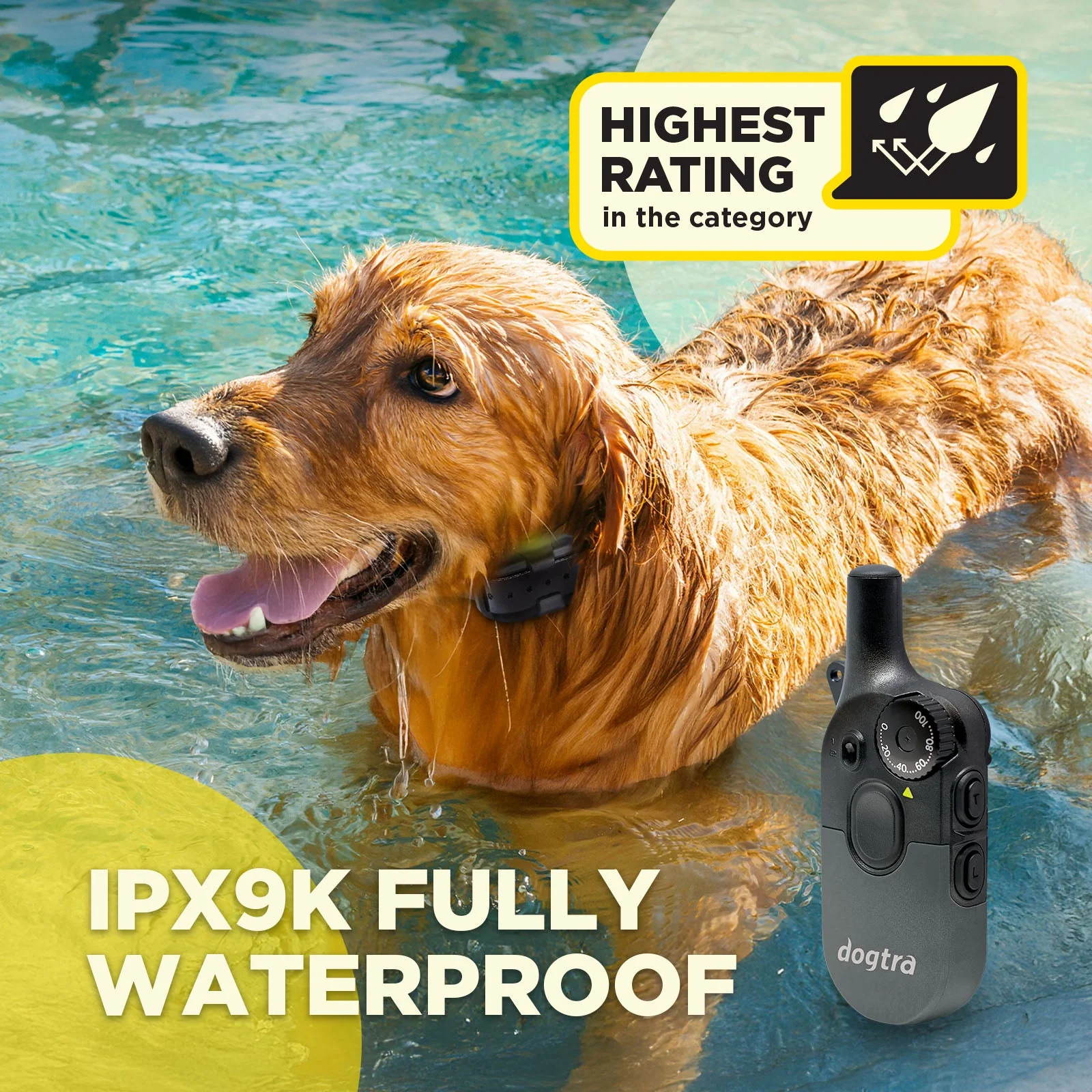Dogtra 200iQ 2-DOG Unit - Image 9