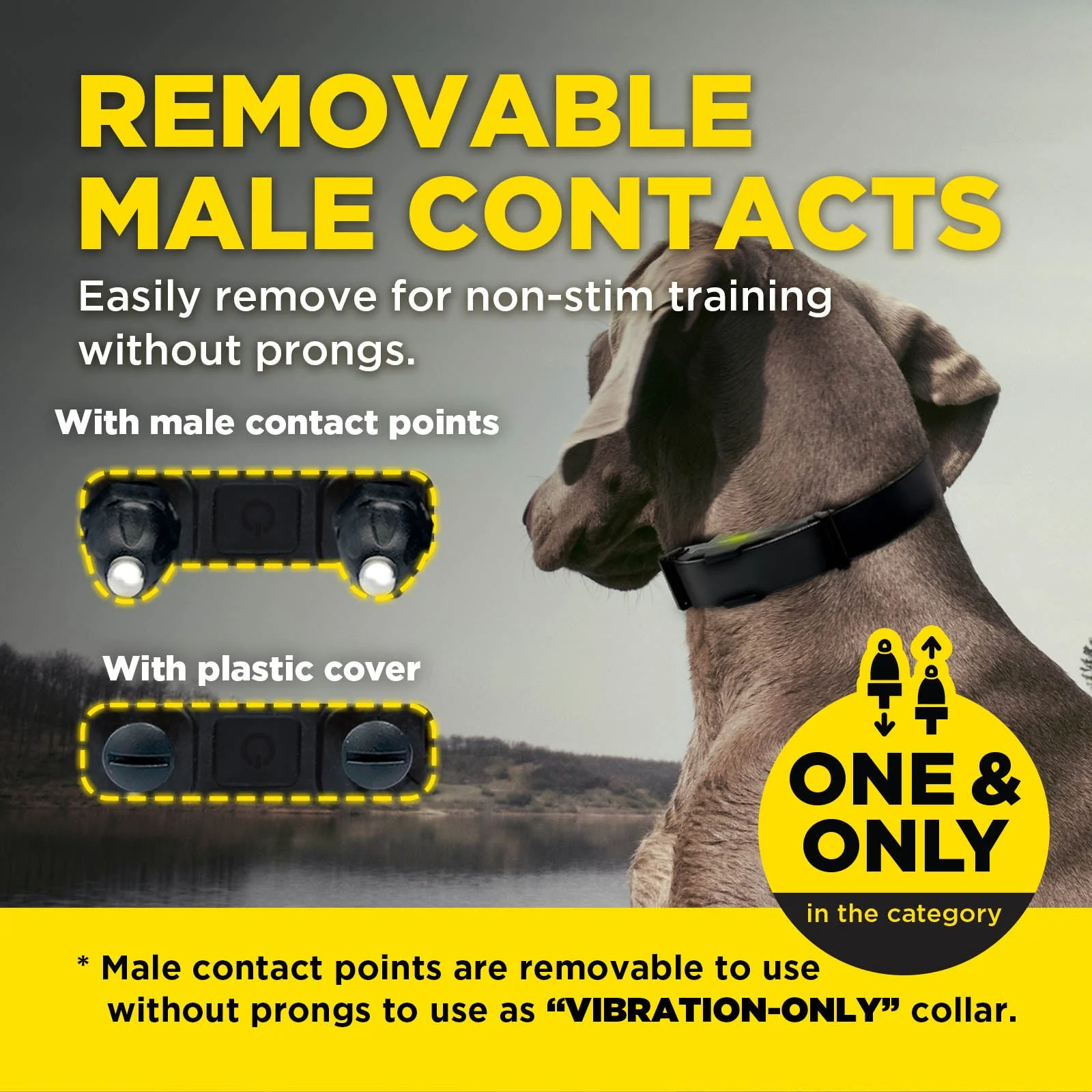 Dogtra ARC-X 1-DOG Unit - Image 4