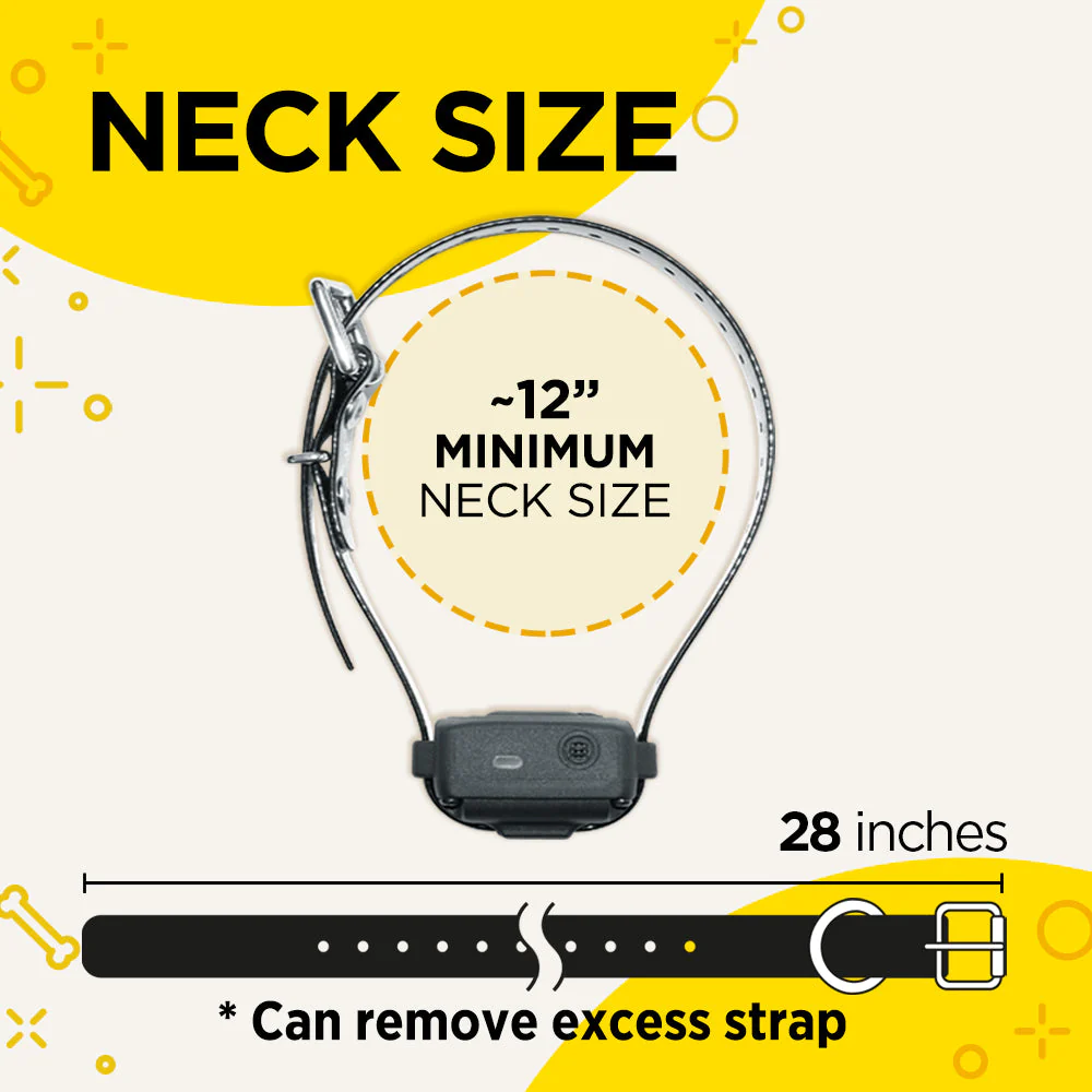 IQ Vibe Vibration Only Training Collar - Image 5