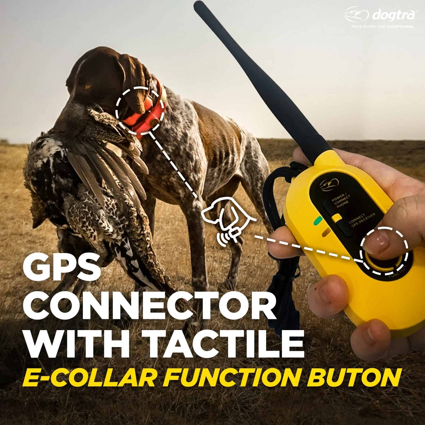 Dogtra Pathfinder2 E-Collar - Image 8
