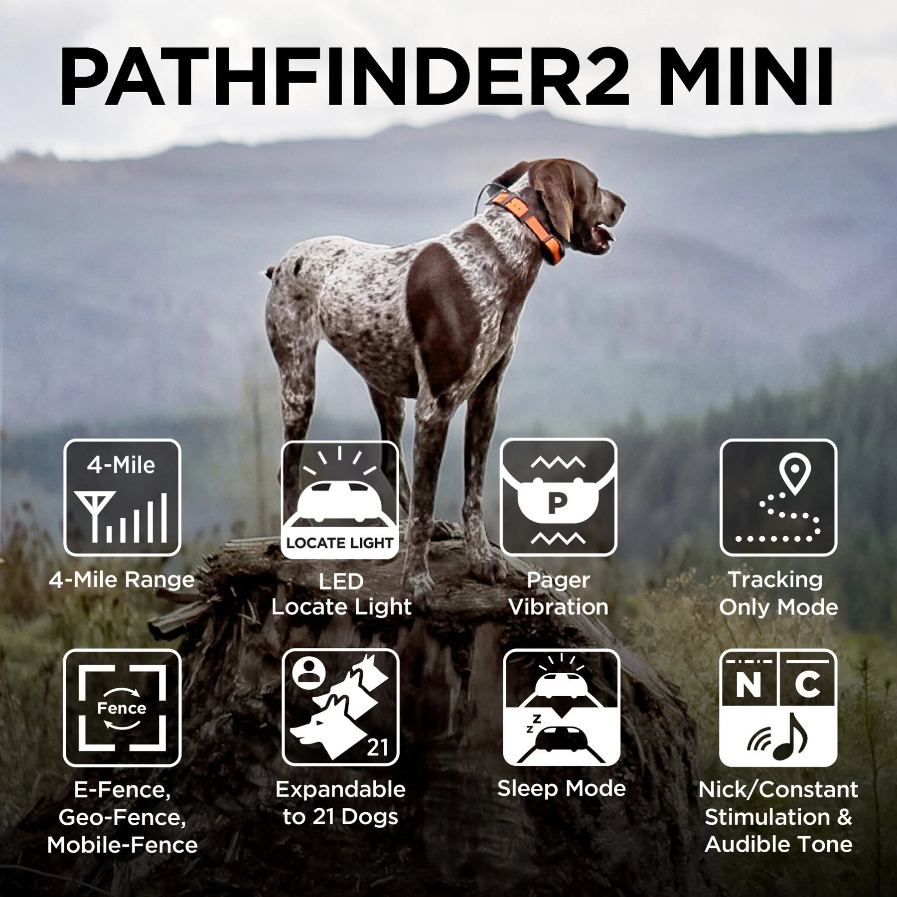 Dogtra Pathfinder2 Mini E-Collar - Image 3