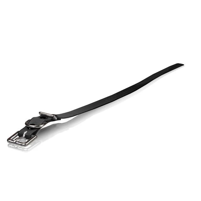 Dogtra Strap 3/4"x24"