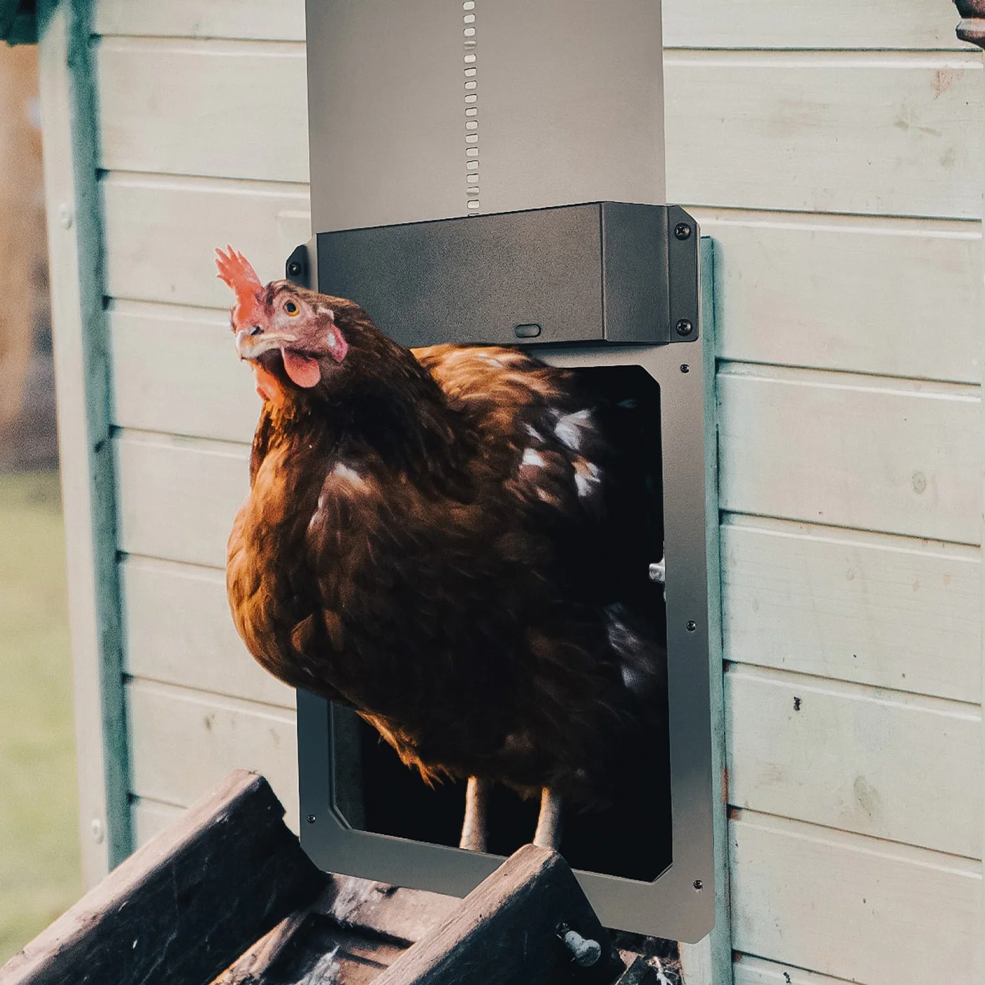 Farmight Automatic Chicken Coop Door, Aluminum - Image 6