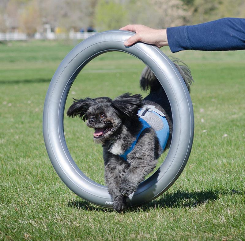FitPAWS Circular Product Holder (For Trax Donut) - Image 3
