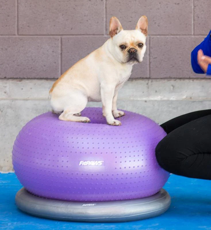 FitPaws TRAX™ Donut - Image 7