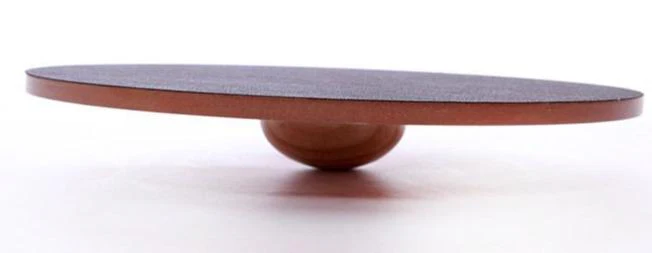 FitPAWS Wobble Board, Dog Balance Training Platform - Image 3