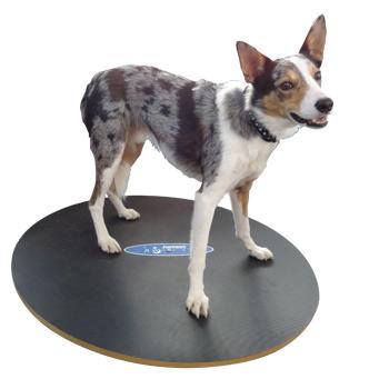 FitPAWS Wobble Board, Dog Balance Training Platform - Image 4