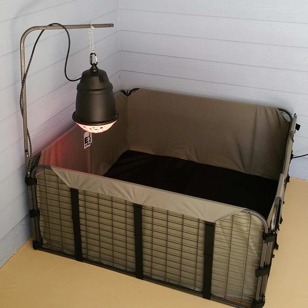 Hanging Chain - Image 2