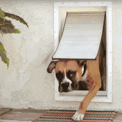 High Tech Pet Armor Flex Dog Door Wall Mount - Image 2