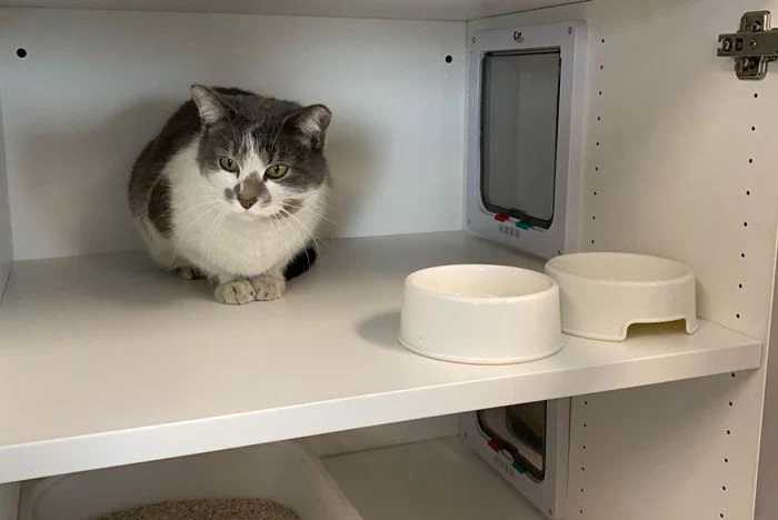 K9 Kennel Store Double Unit Cat Stax - Image 5