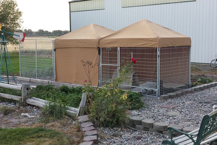 K9 Kennel Store Heavy Duty Canvas Kennel Top W/Roof Bars - Image 4