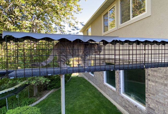 K9 Kennel Store  Outdoor Catio Tunnel - Image 7