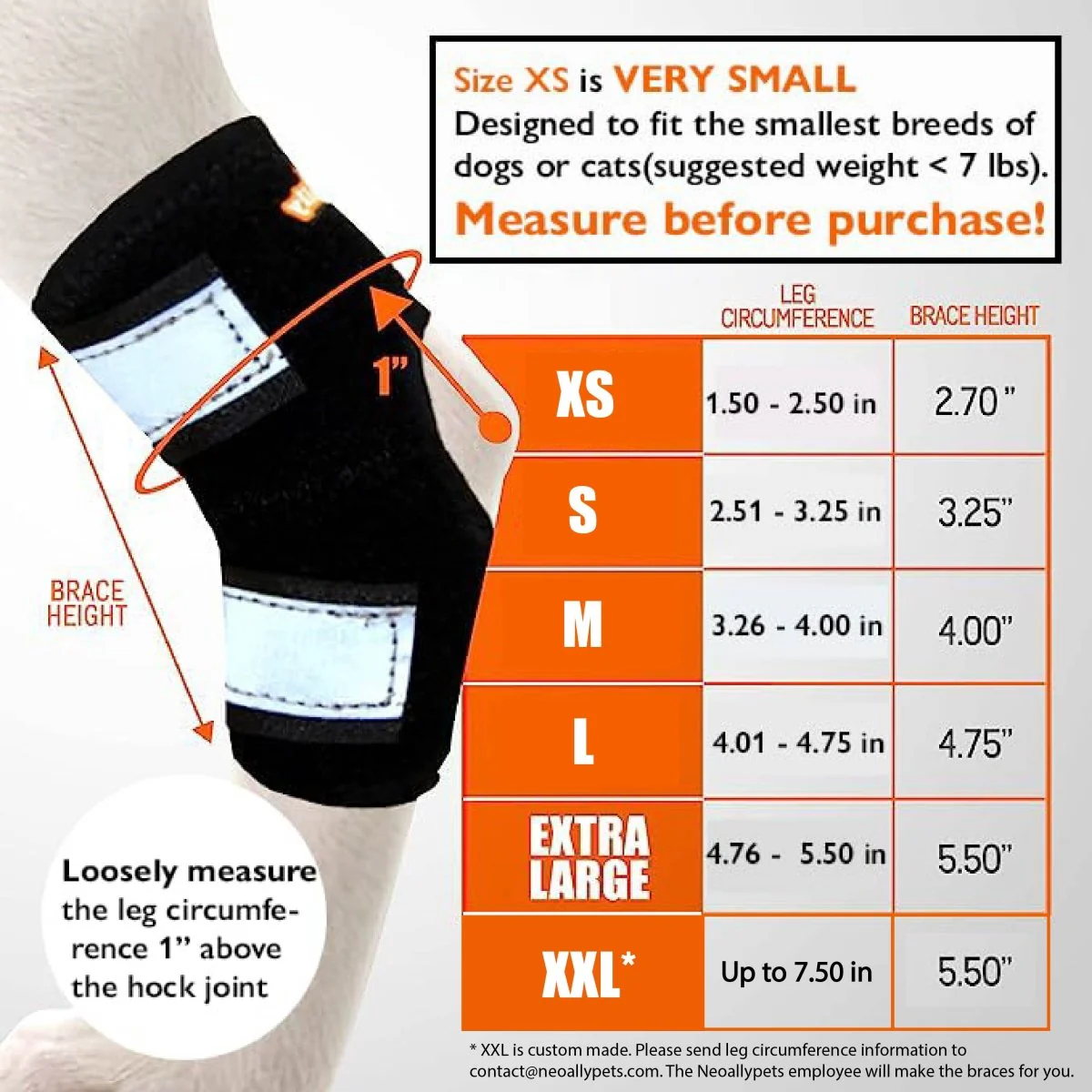 NeoAlly 3-in-1 Short Rear Leg Hock Brace for Smaller Dogs with Rigid and Spring Inserts | Safety Reflective Straps [Short Version] (Pair) - Image 3