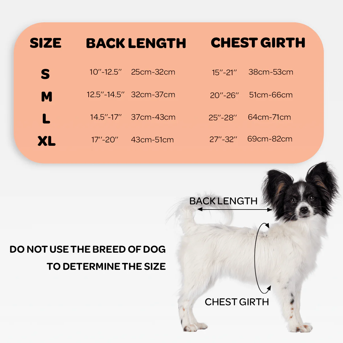 NeoAlly Dog Back Brace for Dogs with Inserts for Extra Support - Image 3