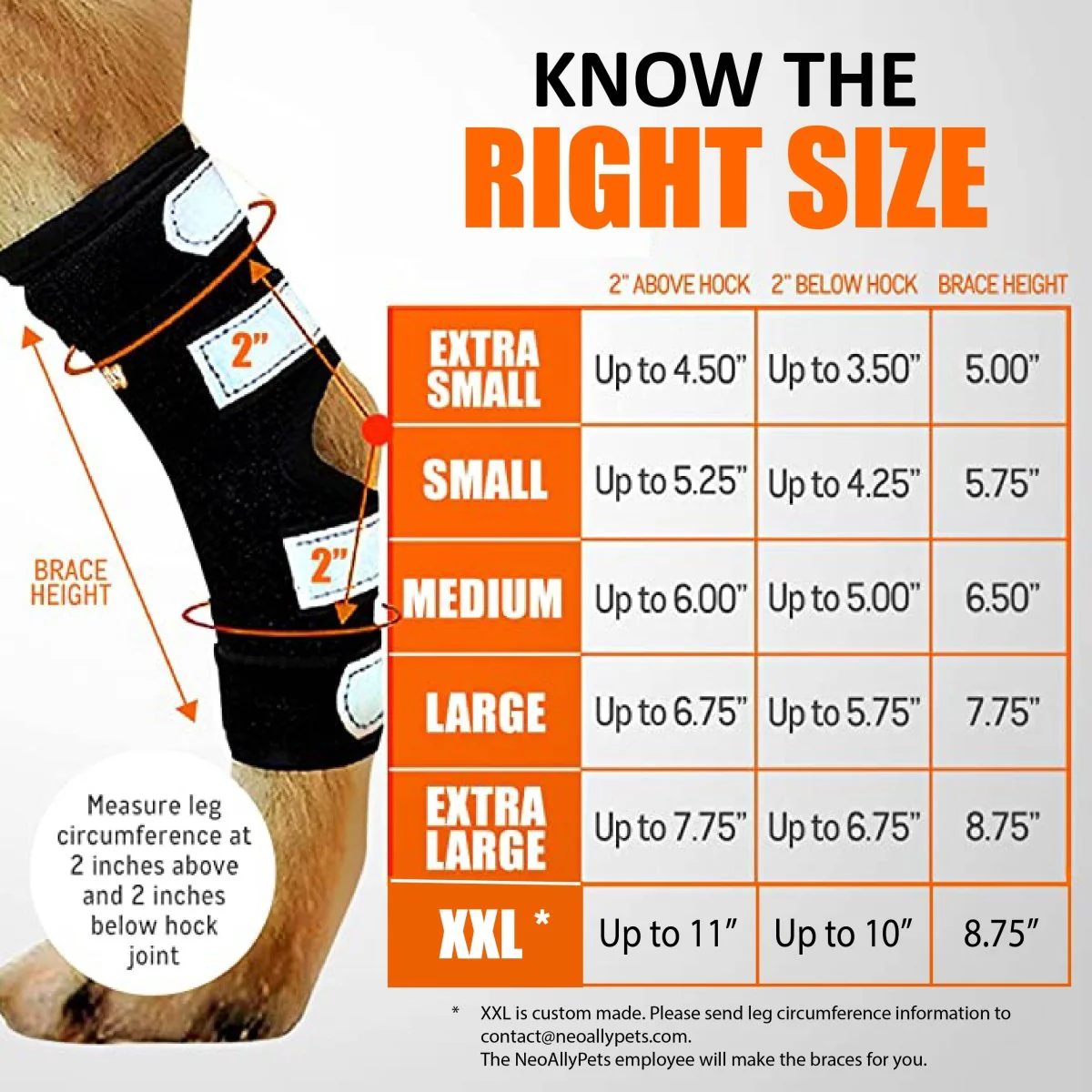 NeoAlly Dog Rear Leg Hock Brace with Metal Spring Strips for Large Dogs [Long Version] (Pair) - Image 2