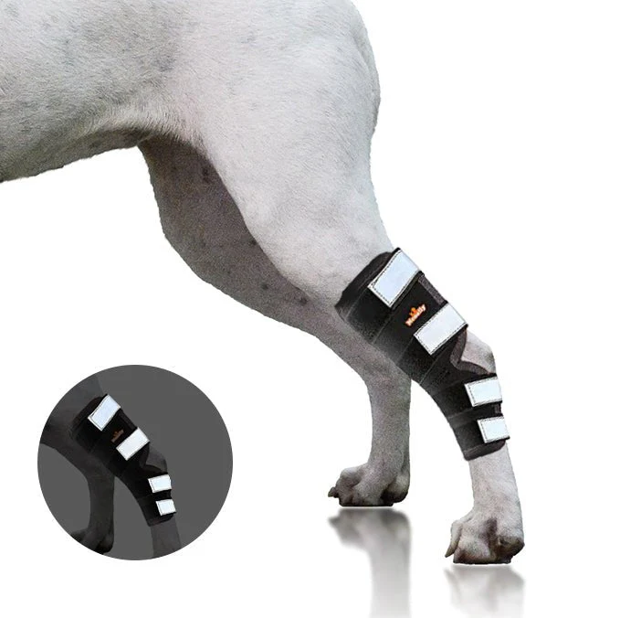 NeoAlly Dog Rear Leg Hock Brace with Safety Reflective Straps for Large Dogs [Long Version] - Image 17