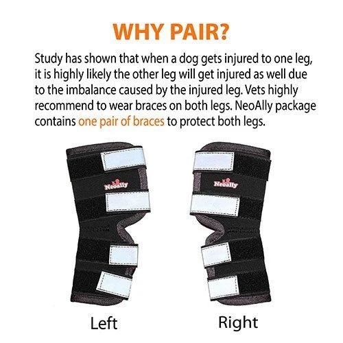 NeoAlly Dog Rear Leg Hock Brace with Safety Reflective Straps for Large Dogs [Long Version] - Image 7
