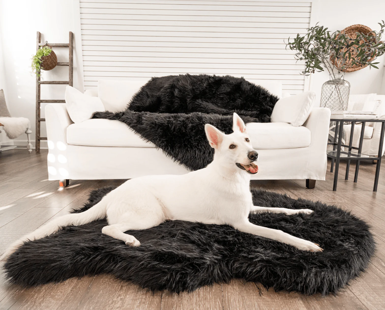 PupRug by Paw.comĀ® Faux Fur Orthopedic Dog Bed - Curve Midnight Black - Image 9