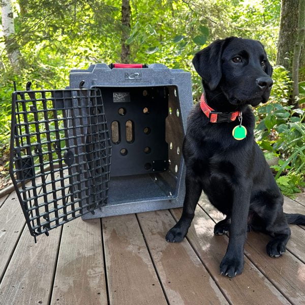 RuffLand Kennel Divider - Image 5