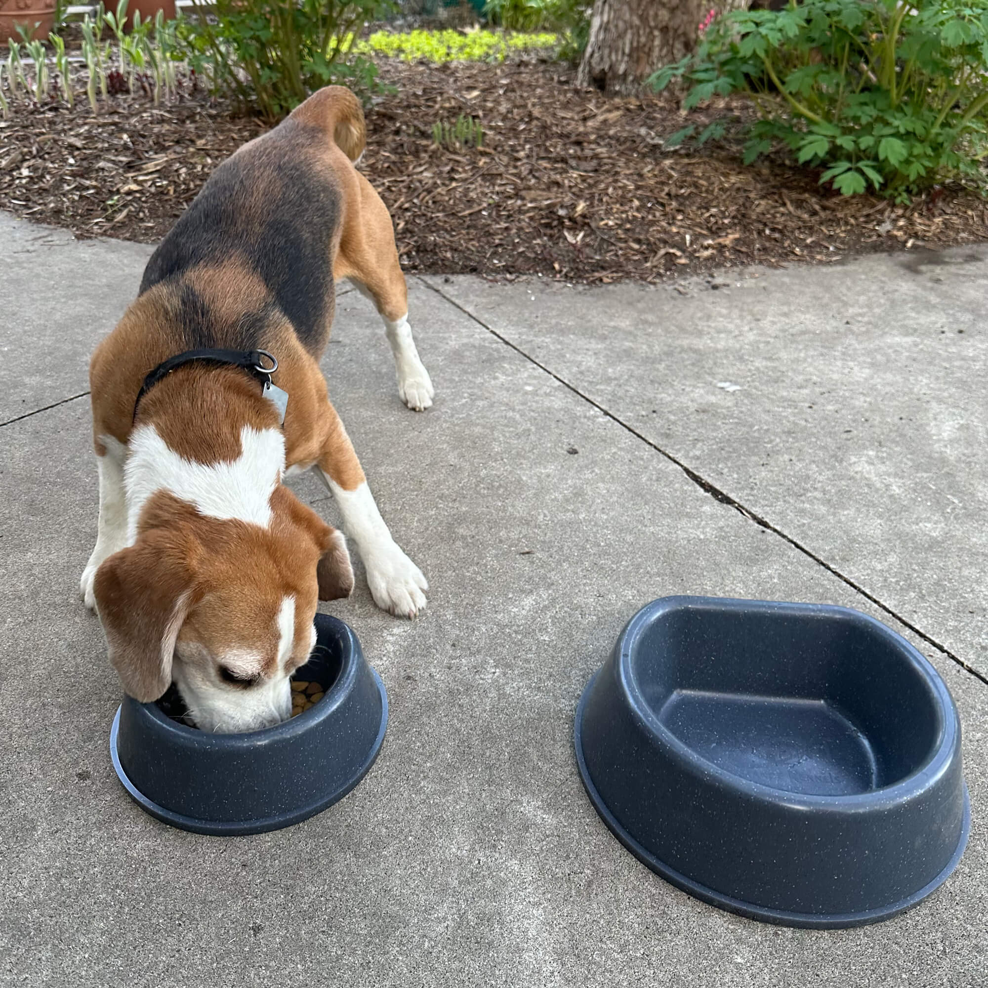 RuffLand Dog Bowl - Image 22