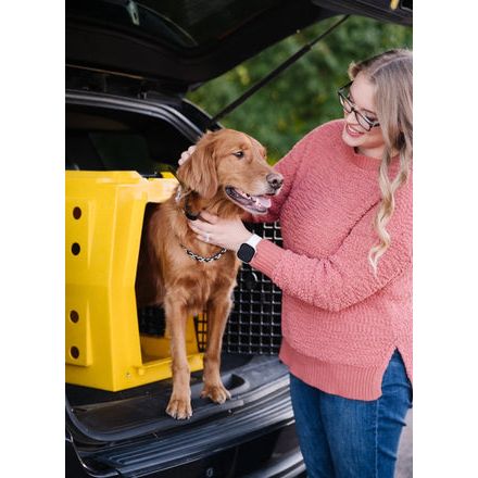 RuffLand Large Kennel - Image 4
