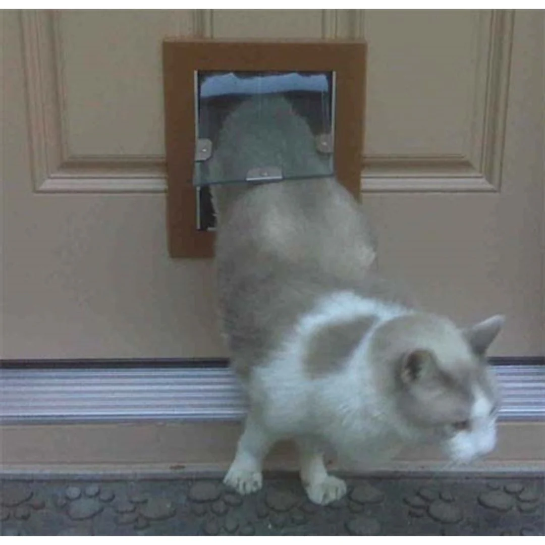 Security Boss MaxSeal Door Mount Pet Door - Image 8