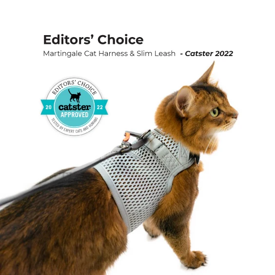 Sleepypod Martingale Cat Calming Harness - Image 5